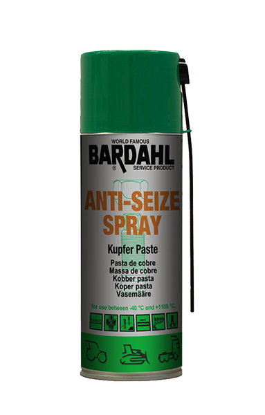 Anti seize Paste 1100°C - Spray